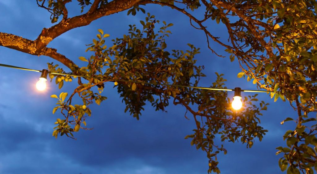 Lights in tree - 4Change Energy