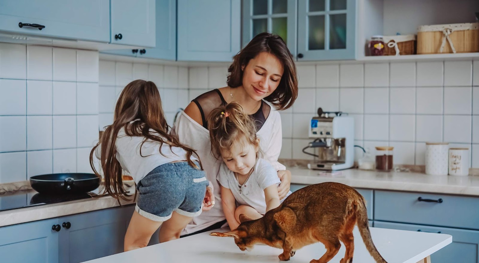 Average Electric Bill 2Bedroom Apartment Power Wizard