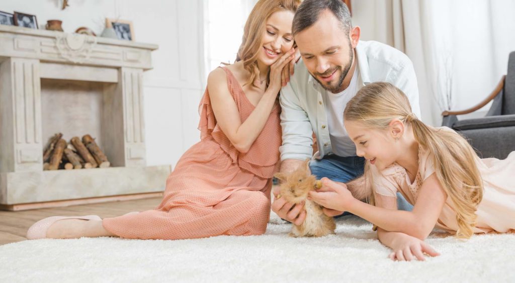 Couple with dog - Galveston
