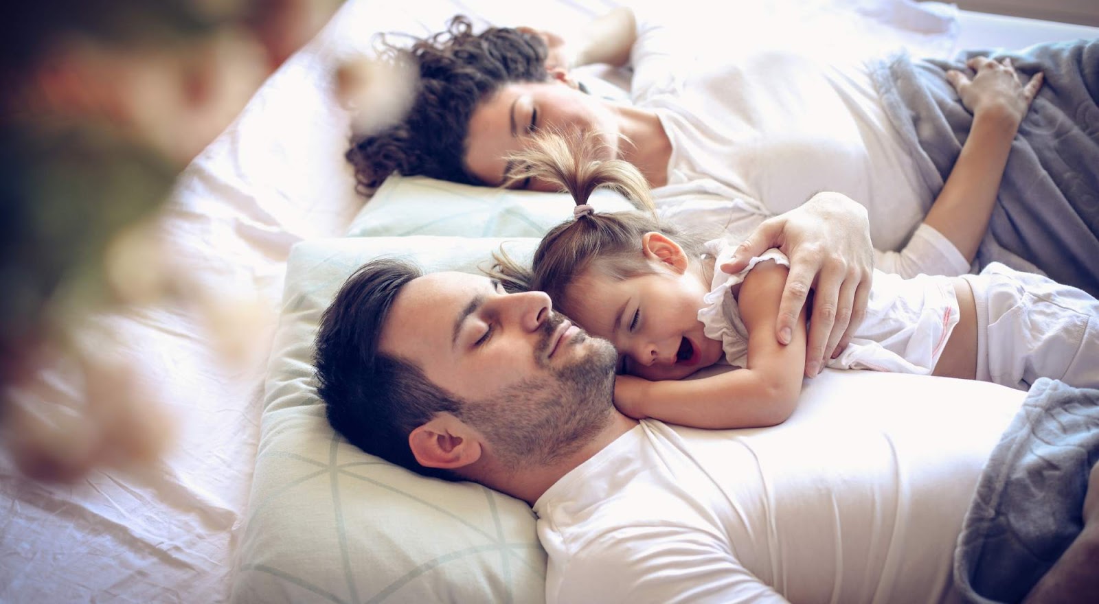 Gexa Energy Plans Compare Rates & More Power Wizard