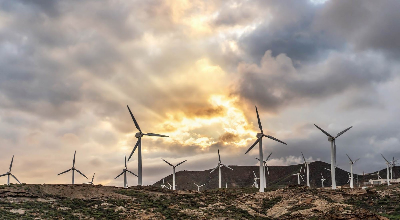 Green Mountain Energy: Prices, Plans & More | Power Wizard