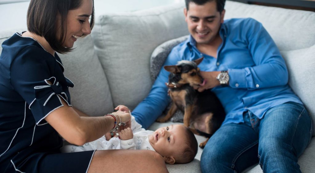 Happy couple with dog - Secure 24