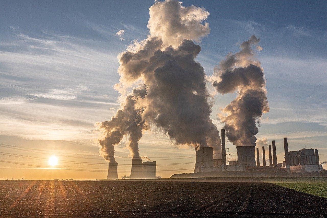 Why different types of carbon offsets are important