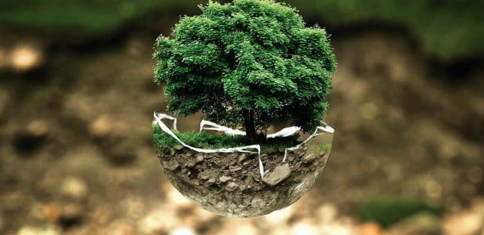 Do you know how to calculate your carbon footprint. Use our carbon footprint calculator.