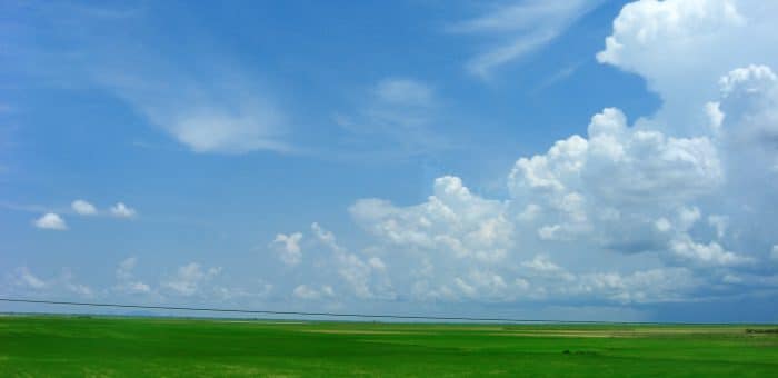 Carbon Negative is the goal to help solve climate change
