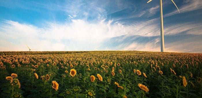 Why is self sustainable energy important?